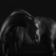 wakemypassion-blog