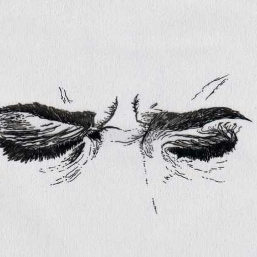 Je t'aime.