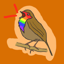 rainbowrobins avatar