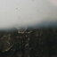 daisymb03