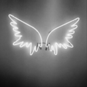 gvardian-angel avatar