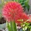 maheshshinde-blog1
