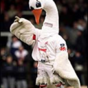 onlyheretowatchtheswans avatar