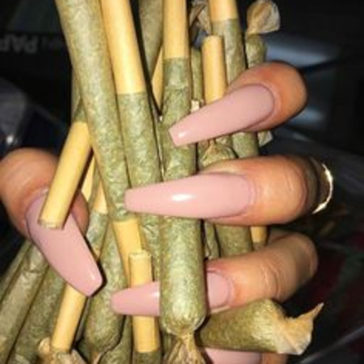 fuck-ur-plants-kid:  “Your breath still reeked of liquor when you whispered in my ear. You led me to your bedroom and kissed me with no fear. I’ve never felt such passion, for I’ve loved you all along. I wish someone had told me, while my feelings
