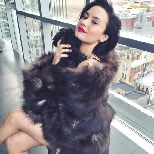 ''Dinheiro não traz felicidade'' 1 minuto atrás em NY com Demi Lovato, Justin Bieber e One Direction via IPhone 5