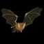 campi-the-bat