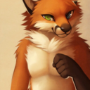 foxythefox360 avatar