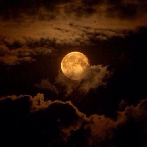 💛 A Mystic Heart 💛