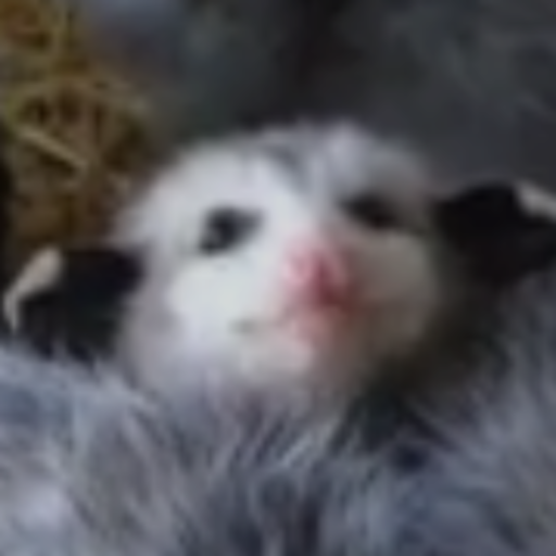 Maku