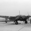 mosquito44