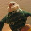shikkishikki