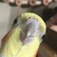 eksterre