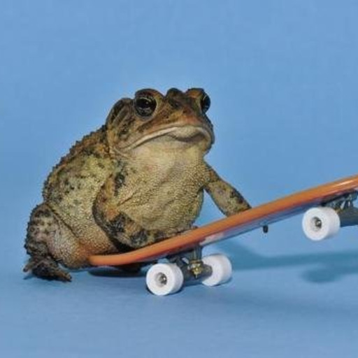 Sex CANE TOADS ARE PRETTY RAD pictures