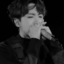 domhobi