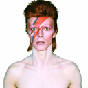 davidbowieismyspiritanimal avatar