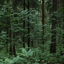 landscap3s-blog1