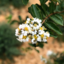 robby829k-blog