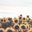 xxgreycatxx-blog