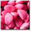 fraise-tagada-blog-blog
