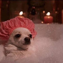 picture Tumblr Spotify Playlist Covers Tumblr 300X300 Image Aesthetic spotify playlist covers