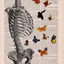 scorpio069-blog