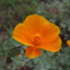 california-nature