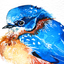 bluebirdythings