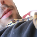 rate-my-reptile:  slitheringscales:  maybe she doesnt like being framed.. at all