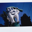 smileyteeth