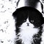 kitquatre