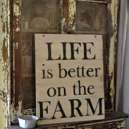 tang-you-very-much:countryplowboy37:Way too much! Why can’t we just love one another and be kind. We all have so much we can bring to the table and if we would just work together this world could be a paradise. Well said @tangerinetreesandmarmaldeskies11