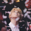 lovey-pjm-blog