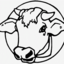 littleoxgallery-blog
