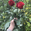 mutsuzbirileri123-blog