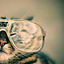 byemolaodi-blog