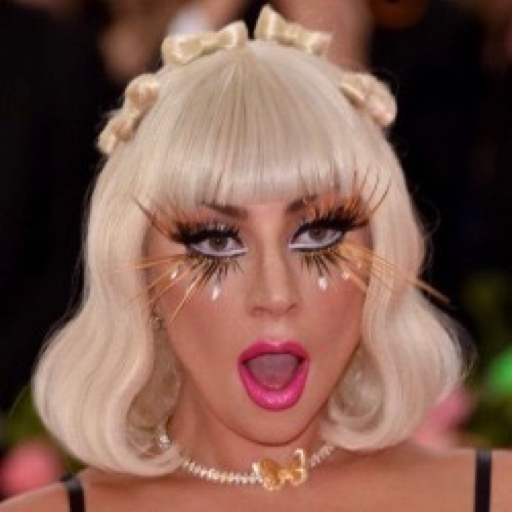 saintnader:  LGBT stands for: Lady Gaga is Back Tonight 
