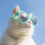 penguinlady42
