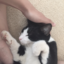 helloworldiamthecatbat