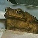 militarise:  when u start liking the antagonist   