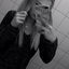 dxadinsxde