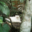 simplepic-blog1