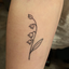 beckthefrustratedwriter