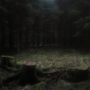 somnesia - n. The act of forgetting or refusing to sleep. The feeling of dread upon