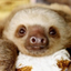 slothquisitor