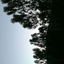 efulim5634-blog