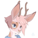 doughy-doe avatar