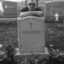 waltdizzle35-blog