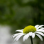 bohanj-blog