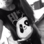 dianamlr