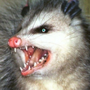 cursedpossums: look into his eyes and see your worst mistakes 